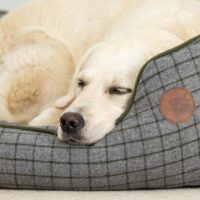 Petface Moss Green Square Dog Bed, Large - Image 4