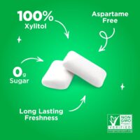 PUR Gum | Aspartame Free Chewing Gum | 100% Xylitol | Natural Spearmint Flavored Gum, 55 Pieces (Pack of 3) - Image 3