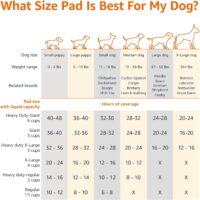 Amazon Basics X-Large Absorbent Puppy Pads, Leak-Proof, Quick-Dry, 28 x 34 Inches, Pack of 50, Blue & White - Image 5